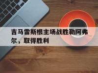 爱游戏在线-吉马雷斯根主场战胜勒阿弗尔，取得胜利的简单介绍
