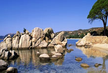 爱游戏官网入口-运动员们展现出极高水准，上演激烈角逐