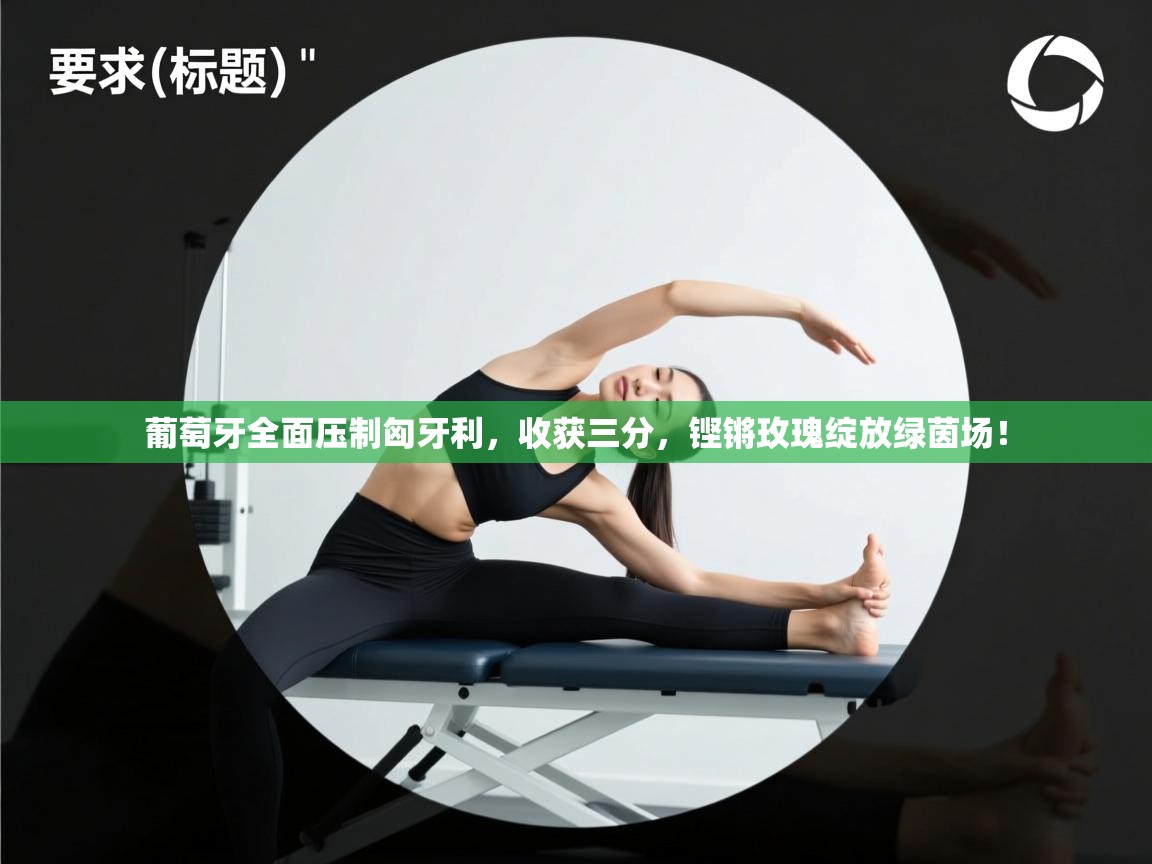 葡萄牙全面压制匈牙利,收获三分,铿锵玫瑰绽放绿茵场! 第2张