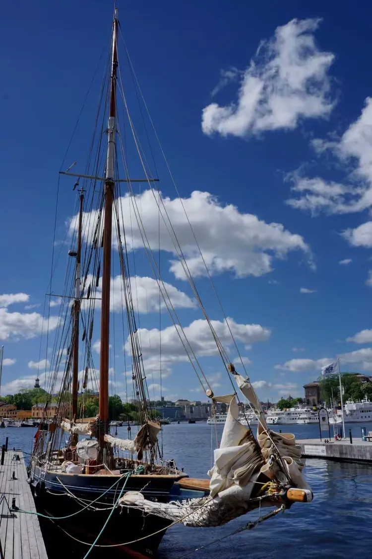 瑞典惊险突围：北欧之光闪耀在世界舞台的简单介绍