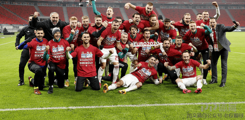 匈牙利队在欧预赛中抢夺胜利! 匈牙利队在欧预赛中抢夺胜利!